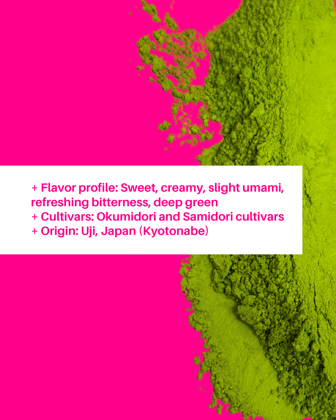 Jouraku 上楽 Ceremonial Matcha | Third Culture Bakery