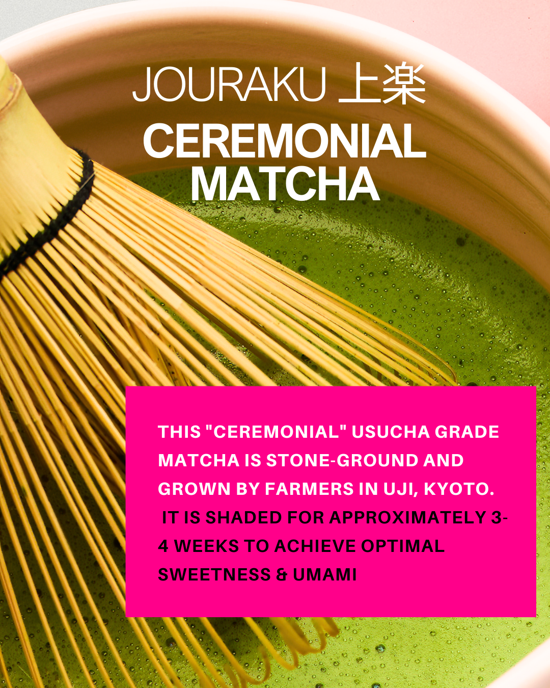 Jouraku 上楽 Ceremonial Matcha | Third Culture Bakery
